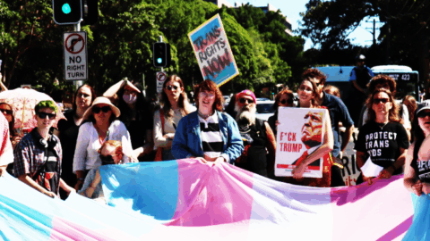 Mardi gras trans rights