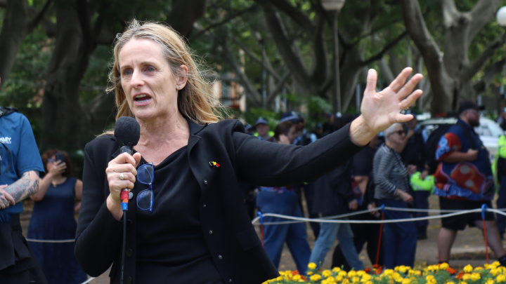 NSW Greens MLC Sue Higginson spoke of the record rate of rising child prisoner numbers sparked by the premier&rsquo;s youth bail crackdown