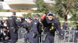 Pepper spray during arrest