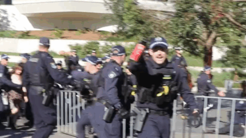 Pepper spray during arrest