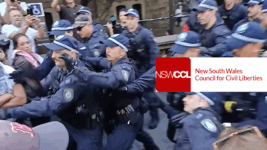 The State Set the Scene for Police Brutality: NSWCCL President Timothy Roberts on the Herzog Rally
