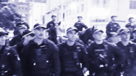 NSW Police Bash and Brutalise Herzog Protesters into Submission