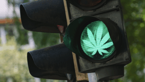 Cannabis driving law in NSW