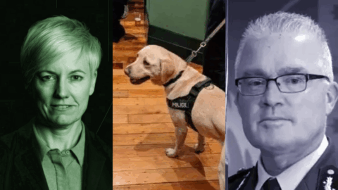 &ldquo;Hey Commissioner, Stop Running Drug Dogs Through Pubs and Clubs&rdquo;, Demand NSW Greens