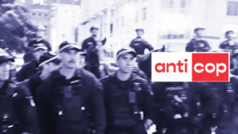 NSW Premier approves police violence towards protesters