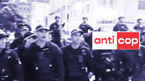 NSW Premier approves police violence towards protesters