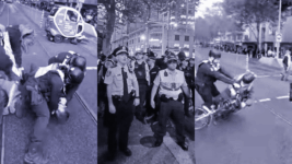 Police Thuggery in NSW