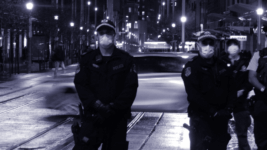 NSW Police bullying and brutality