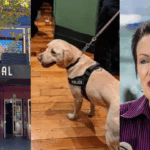 NSW Police Go Ballistic with Drug Dogs on Oxford Street, Again, to Destroy Pride Month