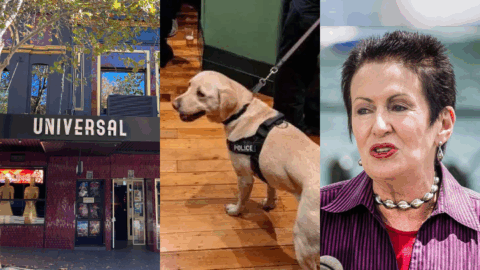 NSW Police drug detection dogs