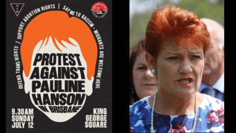 Pauline Hanson policy