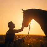 The Offence of Animal Sexual Abuse in New South Wales