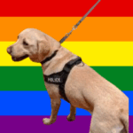 NSW Police Watchdog Directs that Drug Dogs Raids During Pride Month Be Reinvestigated