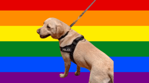 NSW Police Watchdog Directs that Drug Dogs Raids During Pride Month Be Reinvestigated
