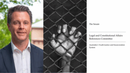 Chris Minns and youth crime