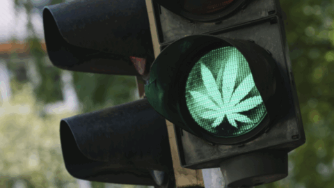 Drug driving
