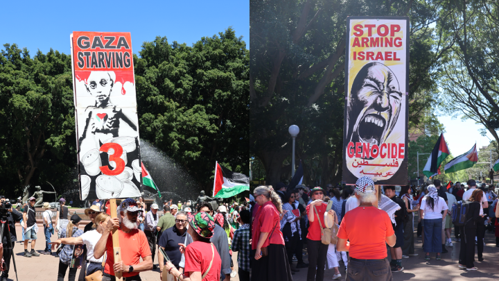 Three years of these extraordinary placards Three years of these extraordinary placards