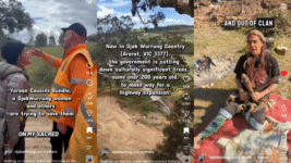 Victoria Cuts Down Yet Another Sacred Djab Wurrung Tree: Interview with Yaraan Couzens Bundle