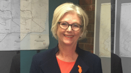 The Offence of Causing Harm to a Commonwealth Public Official in Australia