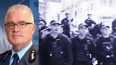 Substantial Video Evidence Supports Assertion that Police Brutalised Anti-Herzog Protesters