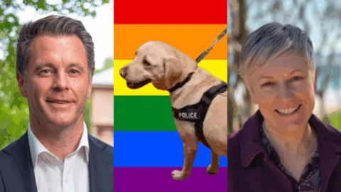 NSW Greens Propose to End the Warrantless Use of Drug Dogs in Places Open to the Public