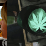 The New Medicinal Cannabis Drug Driving Threshold Ought to Be Extended to All NSW Drivers