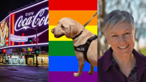Sniffer dogs and Cate Faehrmann