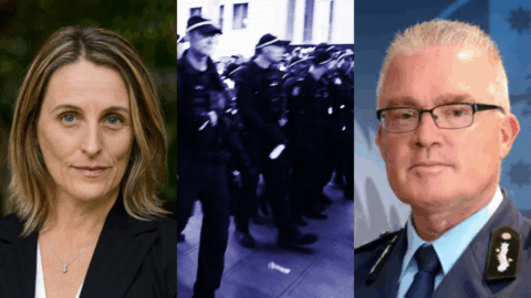 Police Watchdog Announces Top Cops Will Be Publicly Examined About Brutality at Herzog Protest