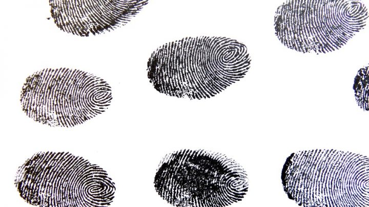 Fingerprint