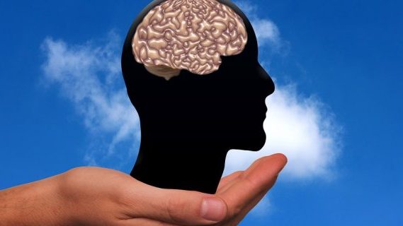 Hold brain in palm of hands