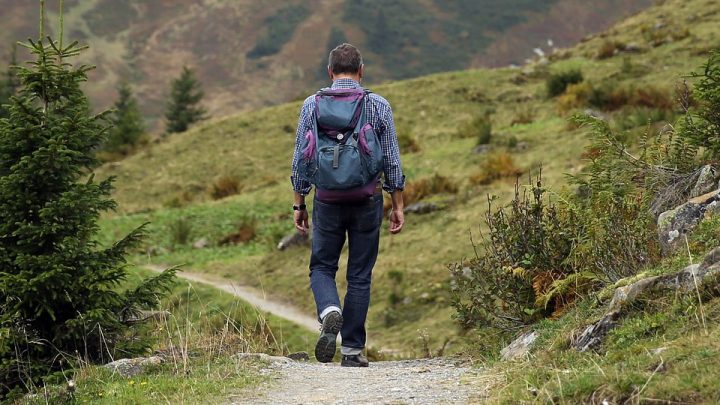 Backpacker walking in a forest