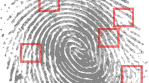 Fingerprint scan