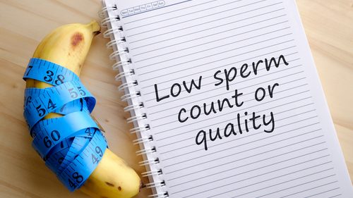 Sperm count on notebook