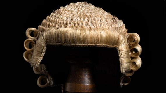 Barrister wig