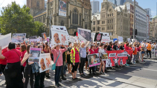 Animal protest