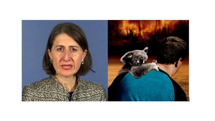 Gladys and koalas